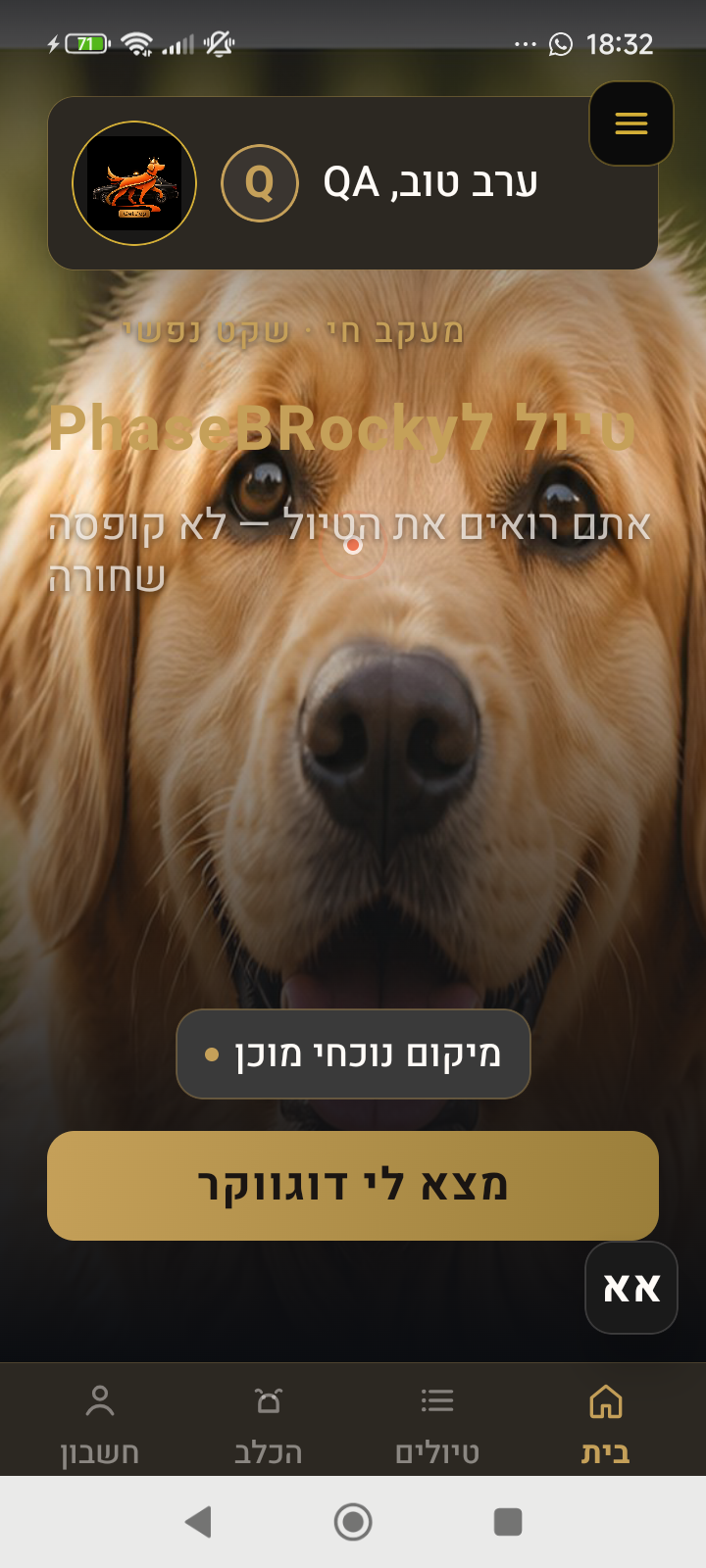 מסך בית GetDog לבעל כלב